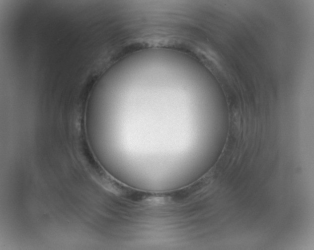 X0000070240499200606020936