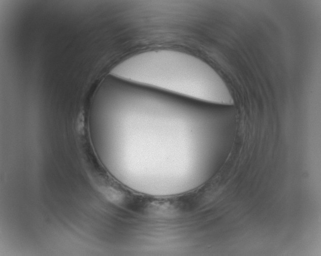 X0000070240502200606020936
