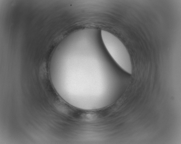 X0000070240506200606020936