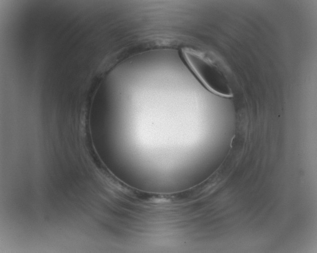X0000070240509200606020936