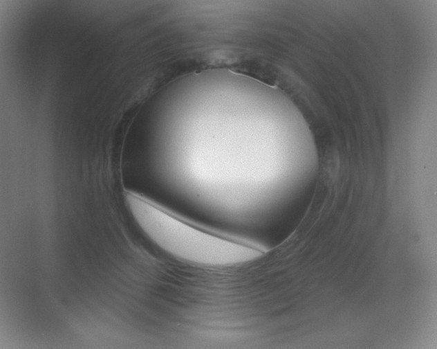 X0000070240512200606020936