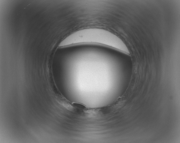 X0000070240516200606020936