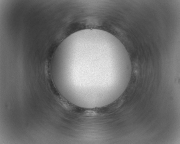 X0000070240519200606020936