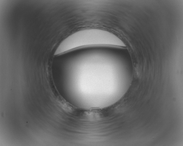 X0000070240520200606020936