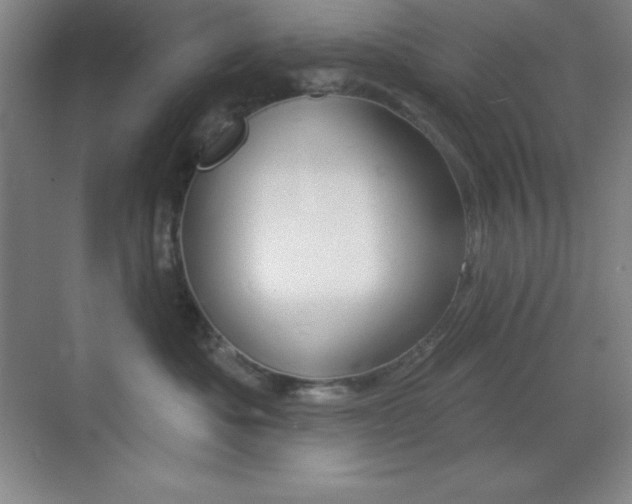 X0000070240525200606020936
