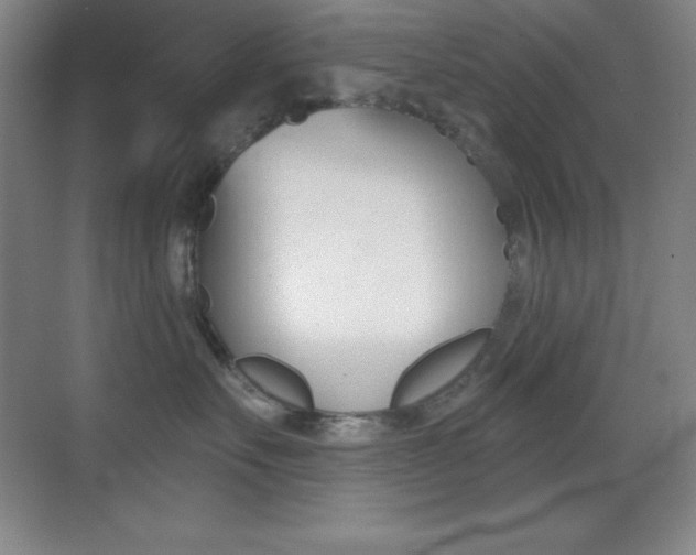 X0000070240527200606020936