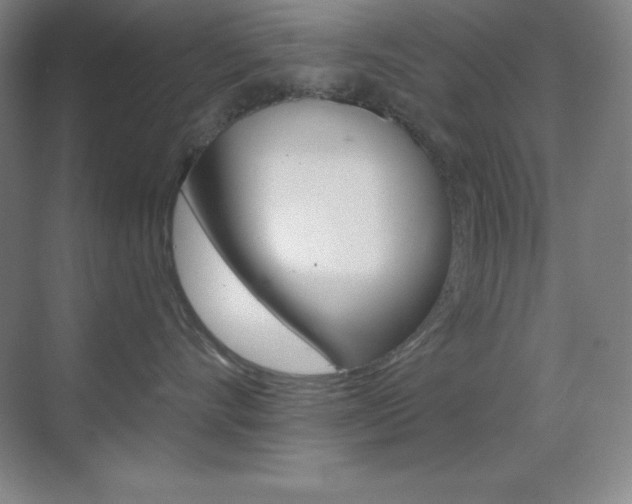 X0000070240528200606020936