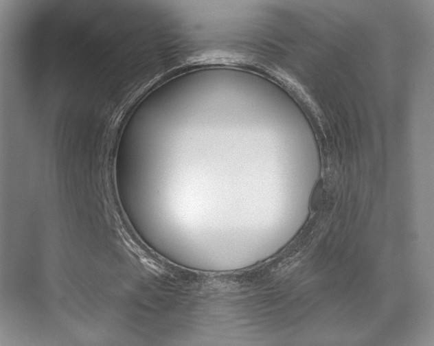 X0000070240529200606020935