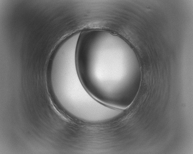 X0000070240530200606020935