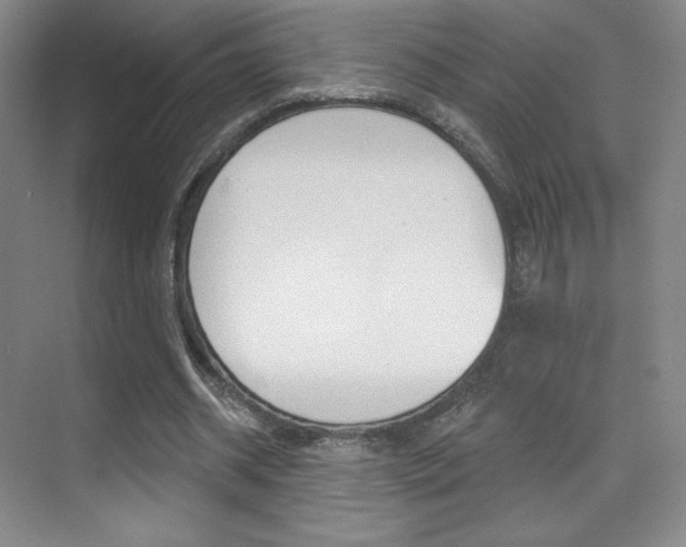 X0000070240534200606020935