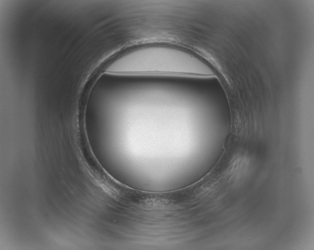 X0000070240535200606020935