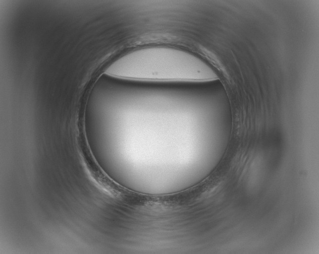 X0000070240538200606020935