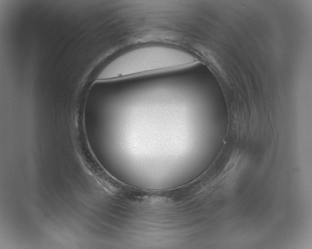 X0000070240539200606020935