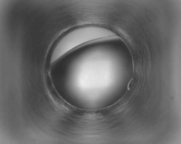 X0000070240540200606020935