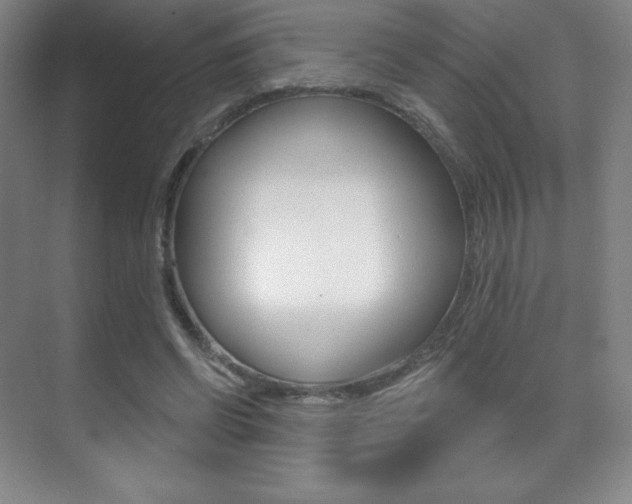 X0000070240542200606020935