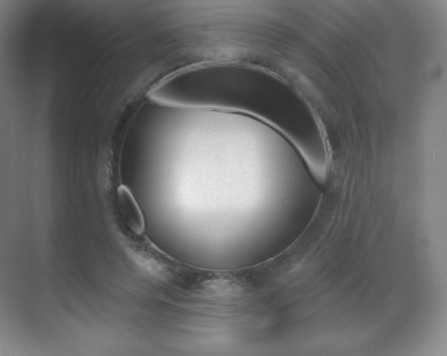 X0000070240544200606020935