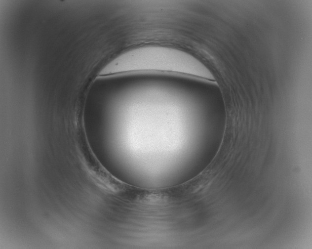 X0000070240546200606020935