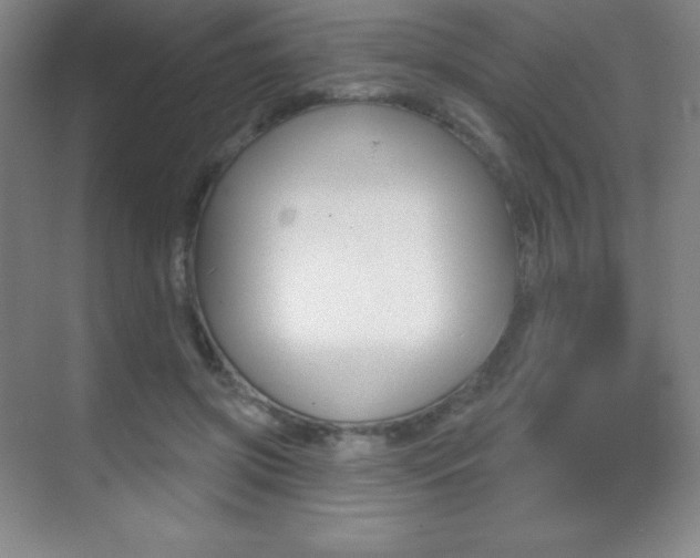 X0000070240549200606020935