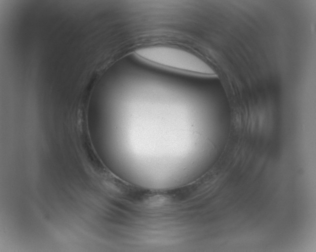 X0000070240551200606020935