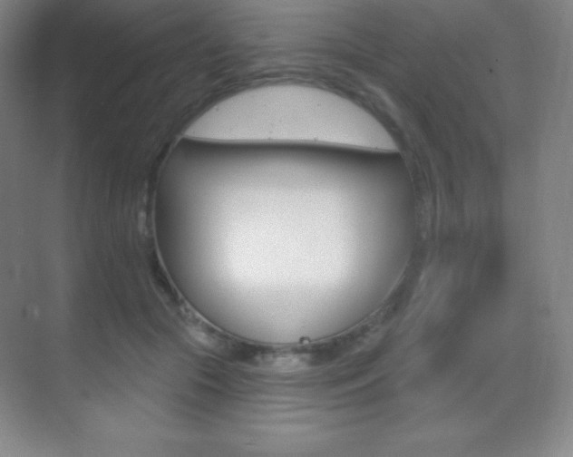 X0000070240553200606020935