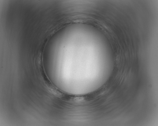 X0000070240554200606020935