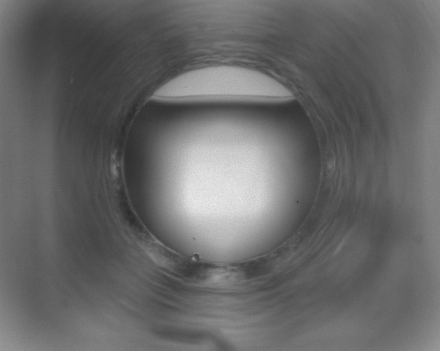 X0000070240555200606020935