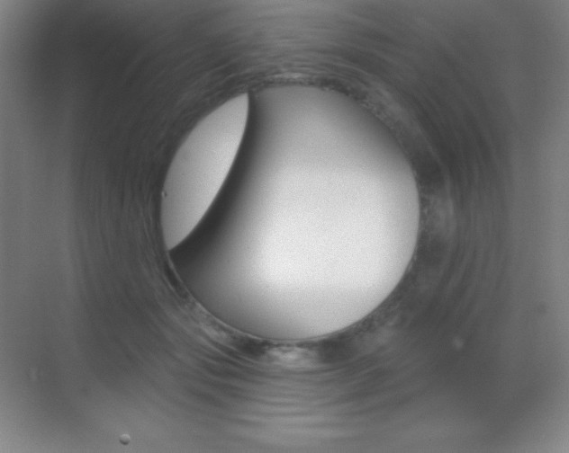 X0000070240557200606020935