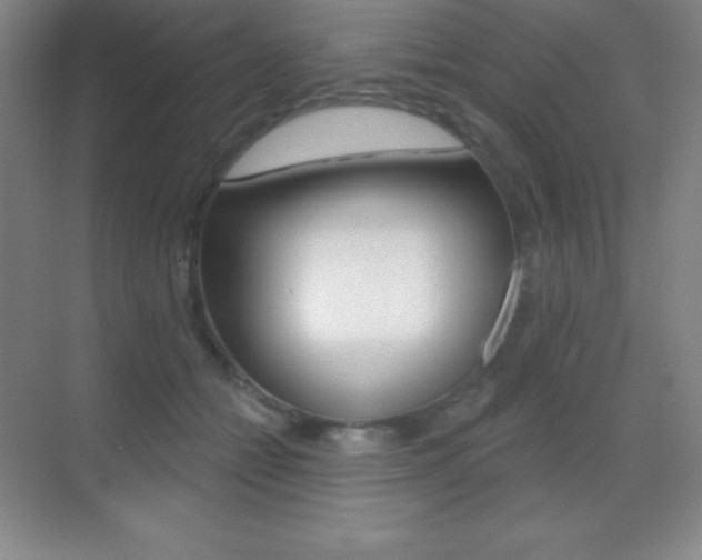 X0000070240558200606020935