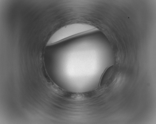 X0000070240559200606020935