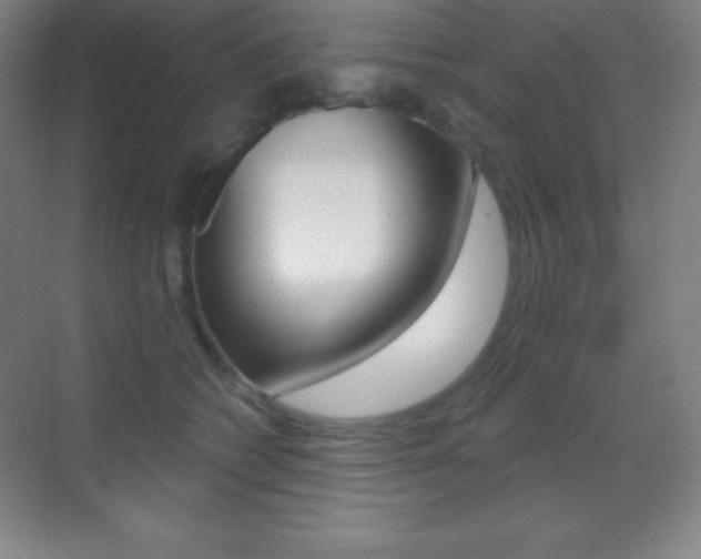 X0000070240562200606020935
