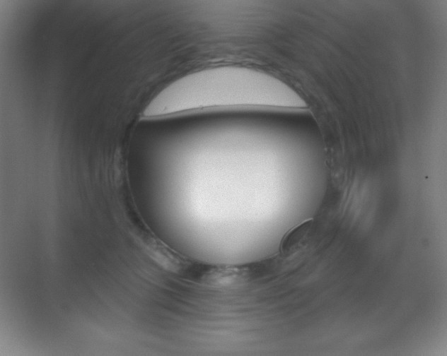 X0000070240563200606020935