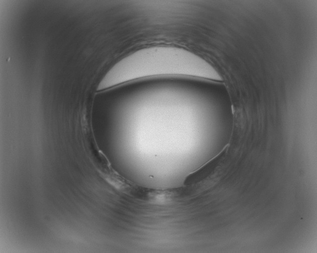 X0000070240564200606020936