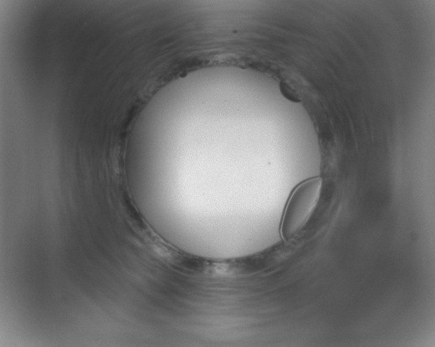X0000070240565200606020936