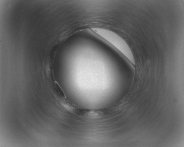 X0000070240566200606020936