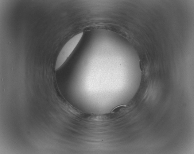 X0000070240567200606020936