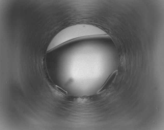 X0000070240570200606020936