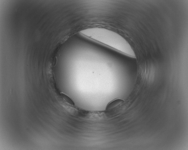 X0000070240571200606020936