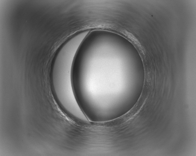 X0000070240577200606020935