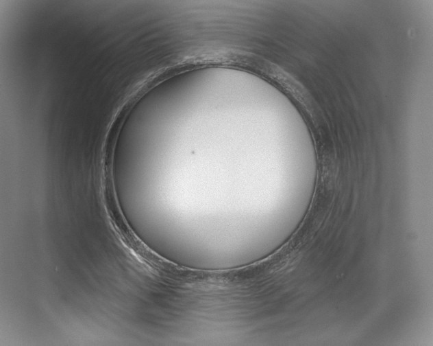 X0000070240578200606020935