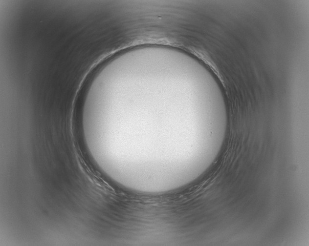 X0000070240579200606020935