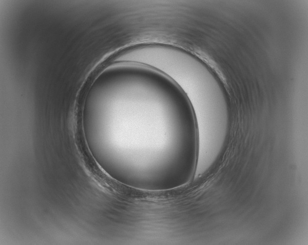 X0000070240580200606020935