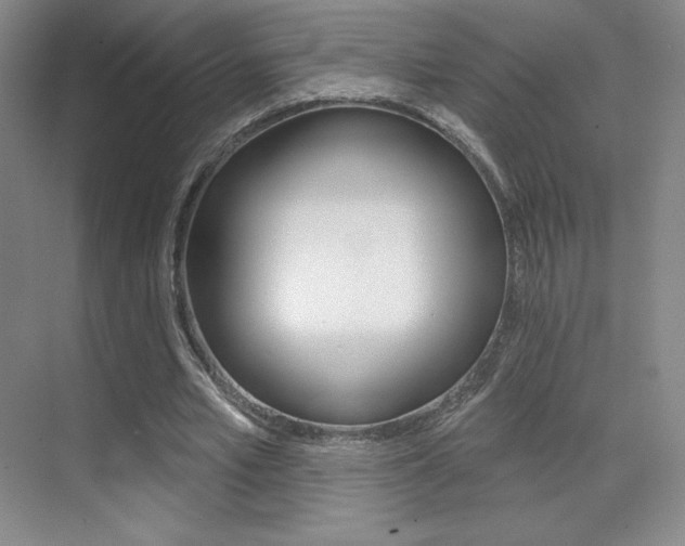 X0000070240581200606020935