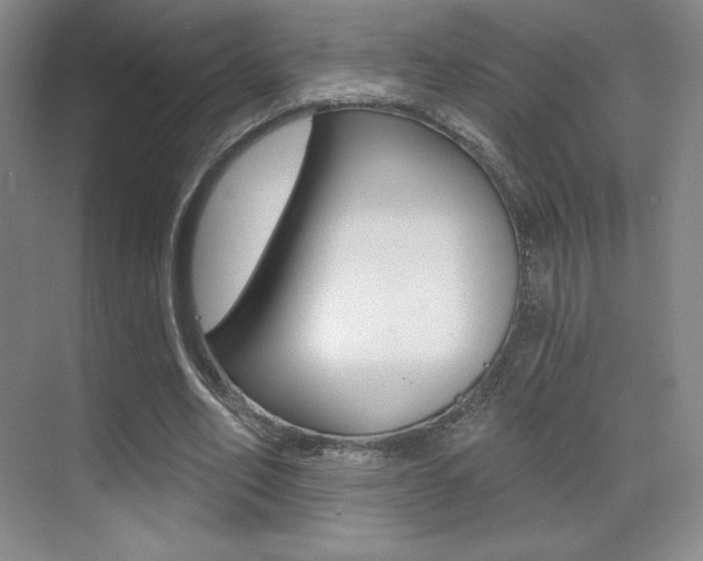 X0000070240582200606020935