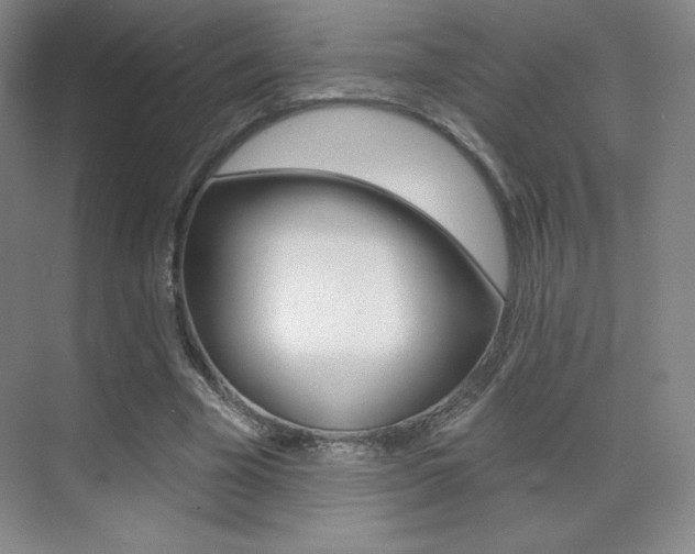 X0000070240585200606020935