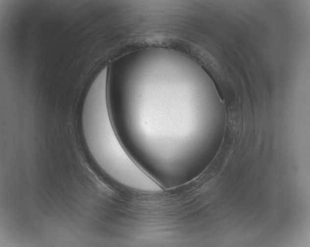 X0000070240593200606020935