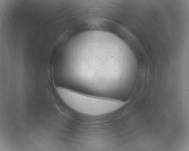 X0000070240603200606020934