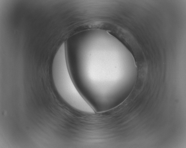 X0000070240604200606020934