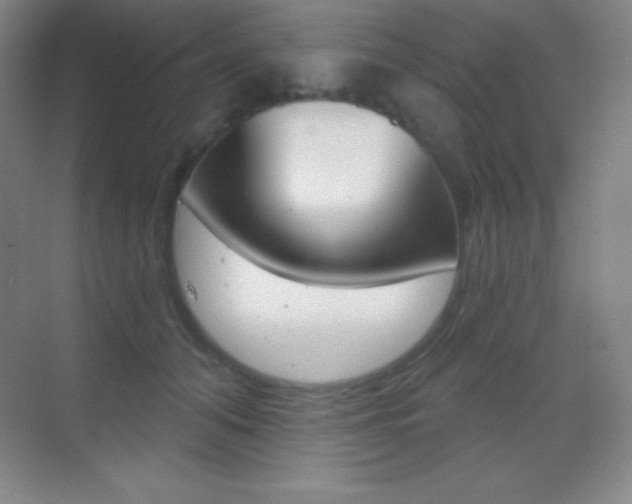 X0000070240608200606020934