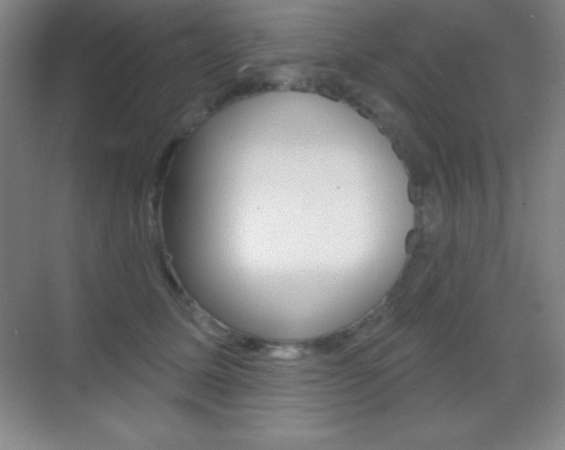 X0000070240611200606020934