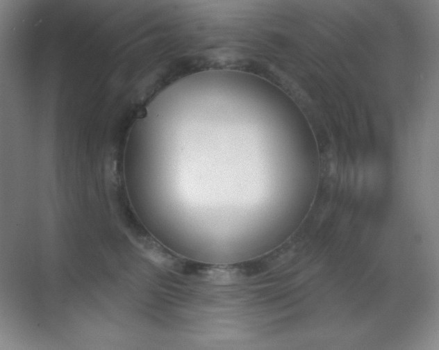 X0000070240615200606020934